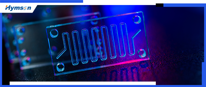 9170金沙登录入口 Novolas 技术